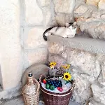 Traditional Mediterranean *