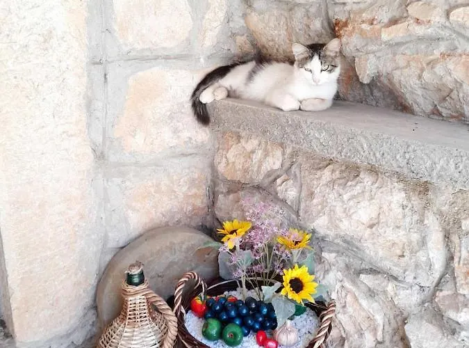 Traditional Mediterranean *