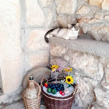 Traditional Mediterranean *